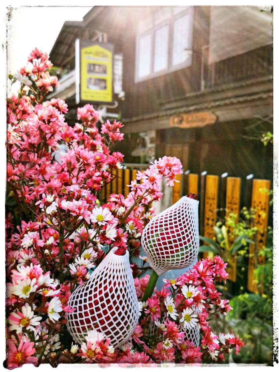 Mae Ping Home Čiang Mai Exteriér fotografie